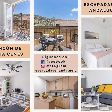Rincon De Lucia Cenes De La Vegaアパートメント エクステリア 写真